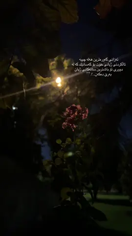 #actives? #fypシ゚viral #🥀🖤✨ # #🥺💔 …!