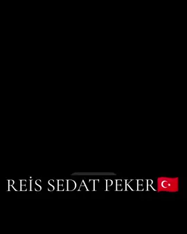 REİSİMİZ ❤🌹#sedatpekerr #keşfet #sedatpekerinkardeşleriyiz 