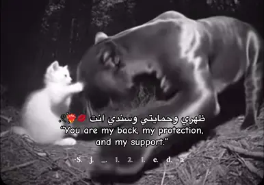 حَبيبـჂ̤😍❤️‍🔥❤️‍🔥❤️‍🔥💋💋💋💋💋#ترند_تيك_توند #العالم_العربي #حبيبي🤍💍 #💍❤️🔐 #ترند_تيك_توند 