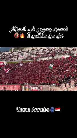 #fyp #algerie🇩🇿 #creatorsearchinsights 