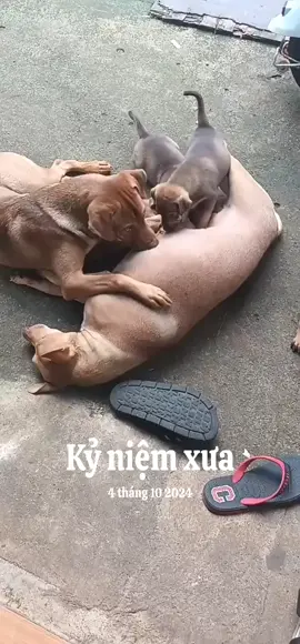 #kỷ niệm xưa