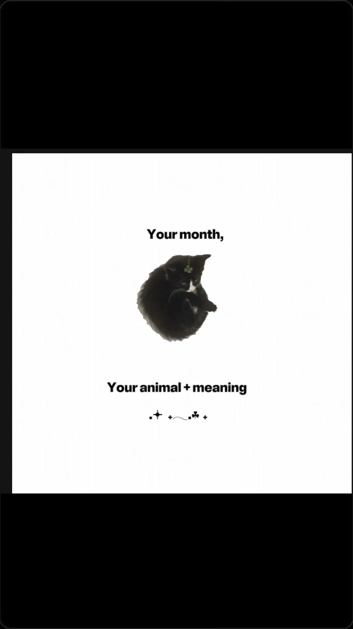 #month #animals #fypシ 
