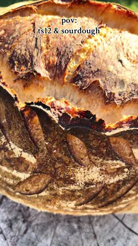 TS12 & Homemade Sourdough 🍞 🧡 #ts12 #taylorswift #sourdough #taylornation #bread @Taylor Swift @Taylor Nation 