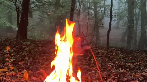 فَإِنَّ مَعَ الْعُسْرِ يُسْرًا۝ إِنَّ مَعَ الْعُسْرِ يُسْرًا﴾ الحمد لله الذي وعدنا باليسر وجعله مقرون بالعسر لا يأتي بعده بل معه! فلا تعلم مع أي باب يدخل اليسر الذي يُبهج قلبك ويقرّ عينك، أحسِن الظن به، وسلّم أمرك للرحيم القادر، ونم آمنًا مُطمئناً .#موعظة_دينية #مواعظ #بودكاست_دينيه 