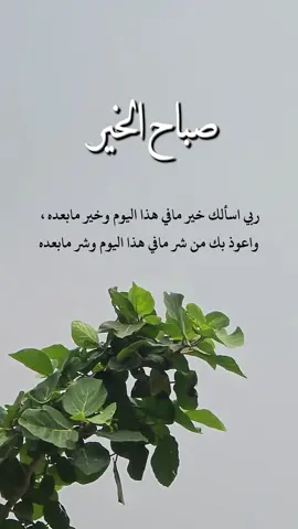 ربي اسألك خير مافي هذا اليوم وخير مابعده ، واعوذ بك من شر مافي هذا اليوم وشر مابعده#اذكار_الصباح_والمساء🍃 #اكسبلور #تيك_توك #صباح_الخير #دعاء 