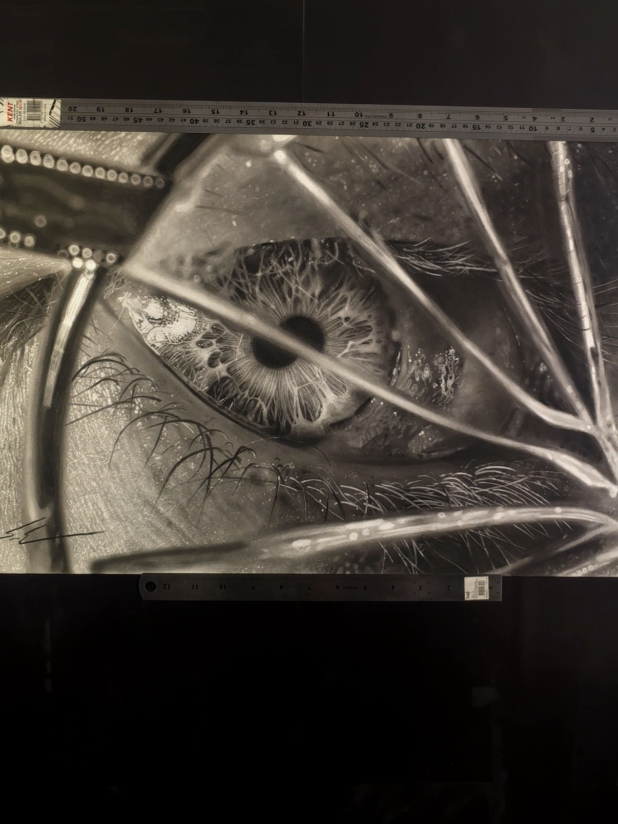 can you see the eye mites? #dylaneakin #hyperrealism 