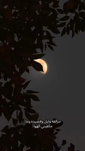 اللهم صلِّ على محمد وآل محمد وعجل لوليك الفرج استغفر الله العظيم عدد خلقه ورضا نفسه ومداد كلماته 🤲🏻🤍 .  .  .  .  .  #سيد_فاقد  #لايكات  #مشاهدات  #fouryou  #اللهم_صلي_على_نبينا_محمد 