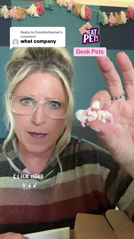 Replying to @Colethetherian @Carter Printing Co. #deskpets #teacherlife #classroommanagement #fun #teaching 