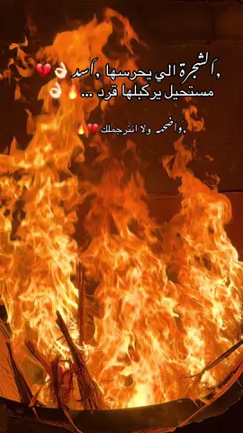 #ليبيا🇱🇾 #بنغازي #طرابلس #سبها 