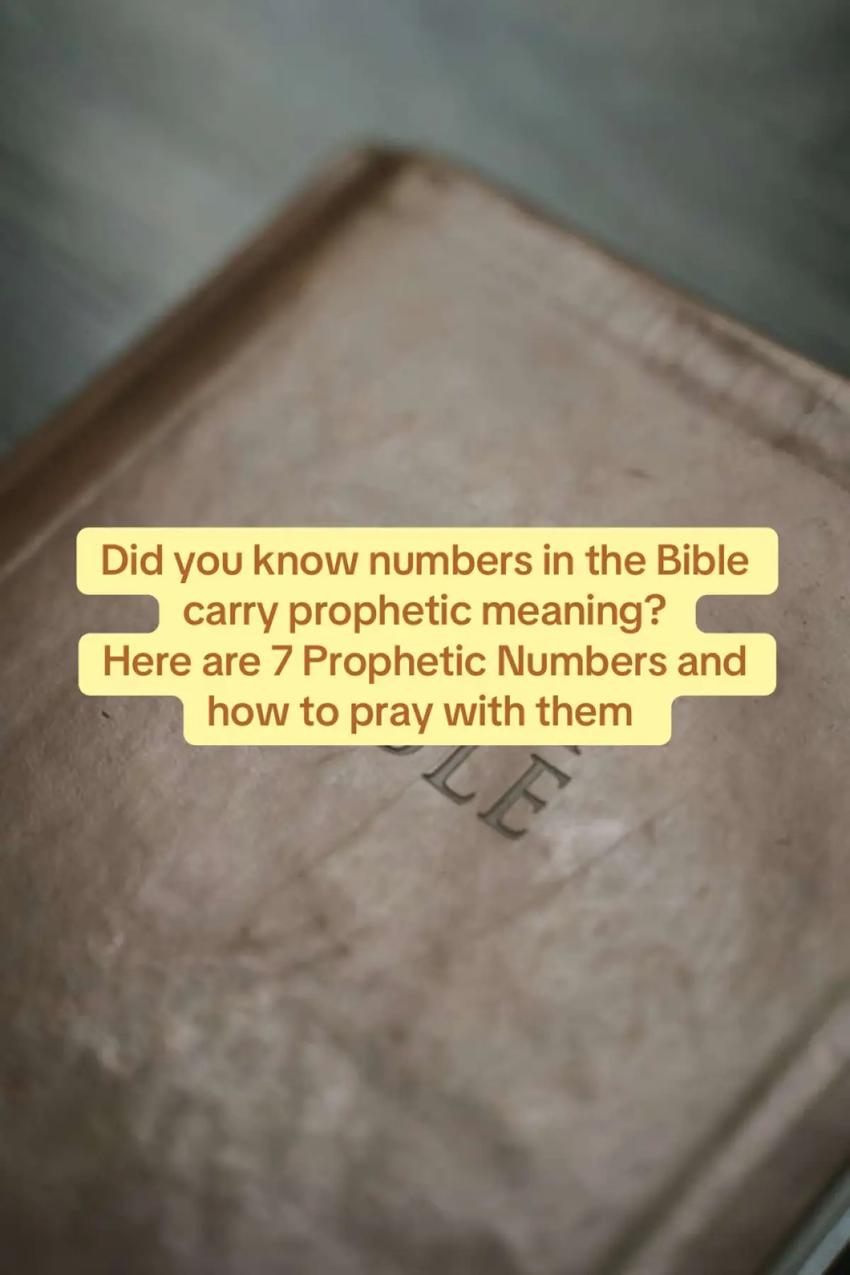 #spirituality #fyp #prayer #bible #PropheticPrayer #psalms 