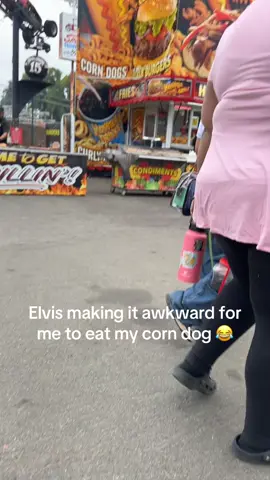 Elvis at the fair fun times #fresnofair #fyp #elvis #559 #laughs 
