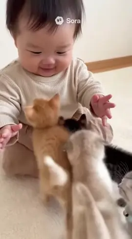 cat and baby#メロ秋投稿キャンペーン 