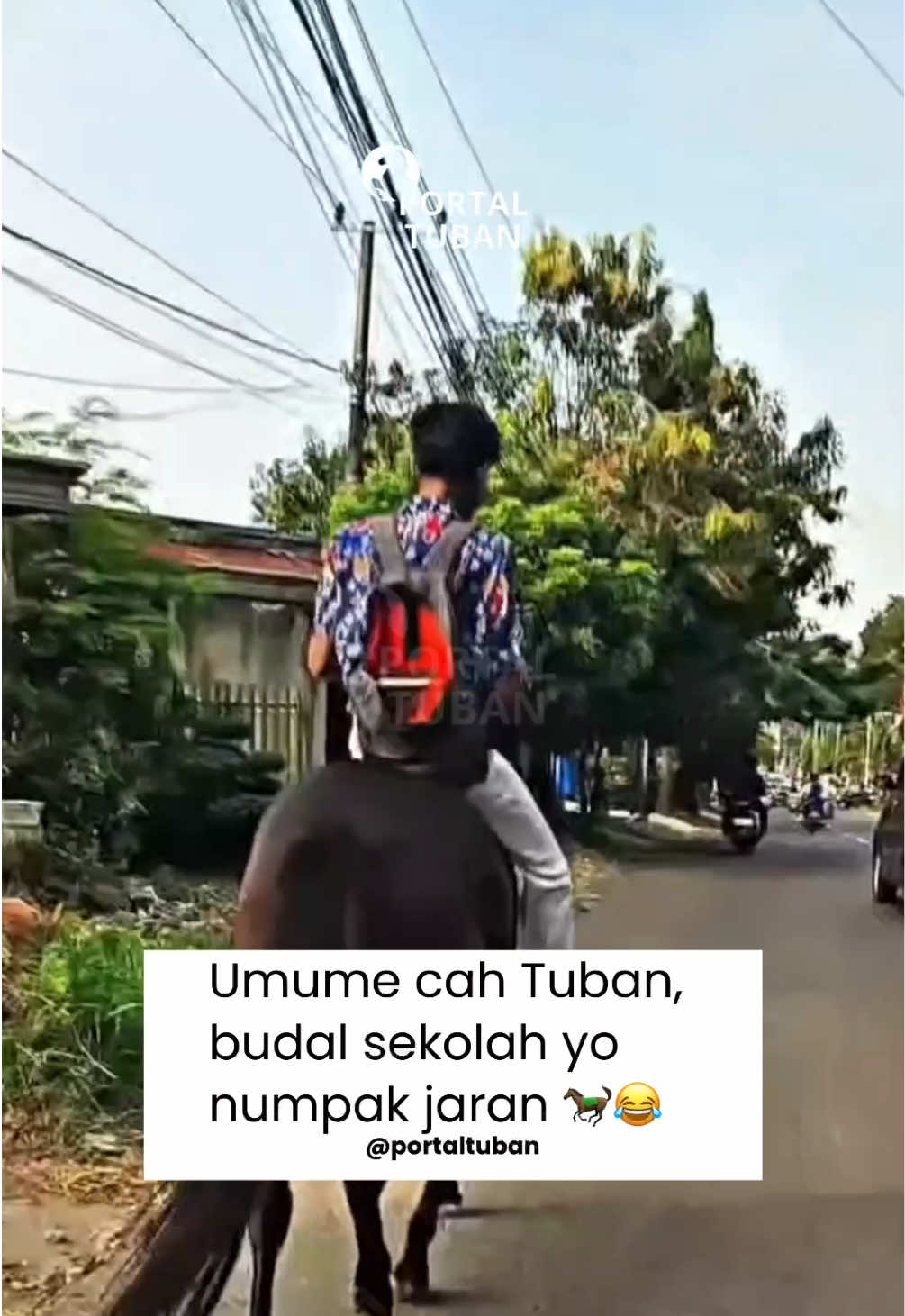 Biasane bocah-bocah sekolah numpak motor, sepeda, Si Mas Ganteng, angkot, utawa paling banter diterno wong tuwo. Lha iki, cah SMAN 5 Tuban milih numpak jaran budal sekolah. 🐎 Videone direkam neng dalan arah perempatan Ring Road Semanding (parak Mrican). Sangar yo! Unik + anti polusi pisan hehehe 😂😂 #PortalTuban #InfoTuban #BeritaTuban #Ronggolawe