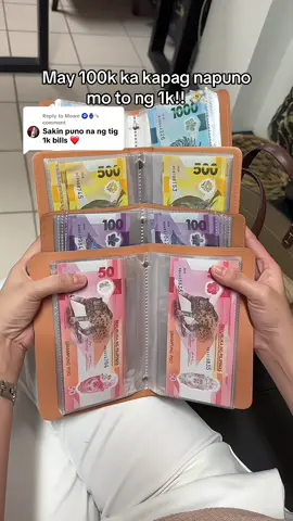 Replying to @Mowe 🧿🪬 100 envelope savings challenge #iponchallenge #savingschallenge #100envelopesavingschallenge #moneyalbum 