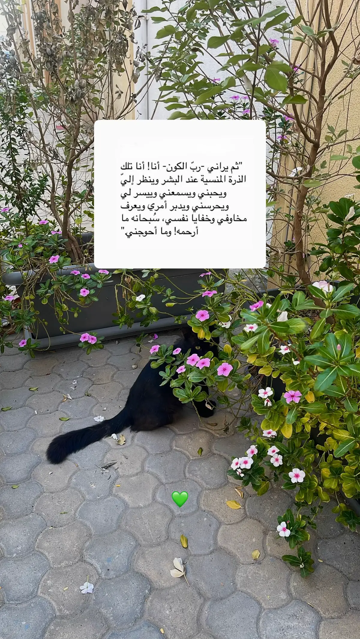 #explore #fyp #foryou 