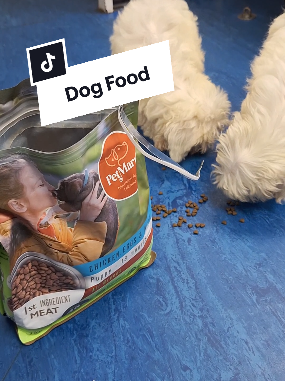 The Ultimate Guide to Selecting the Best Dog Food! PetMarra Adult Dog / Puppy Dry Food Beef Milk Liver and Chicken Flavor 1kg Flavor Collection dogs puppies kibble pets... #bestdogfood #dognutrition #puppylove #doghealth  #creatorsearchinsights 