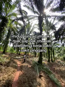 biar masuk surga #fyp #petanimuda #petaniindonesia🇮🇩🇮🇩🇮🇩🌿🌿 #pewarismuda #fypシ 