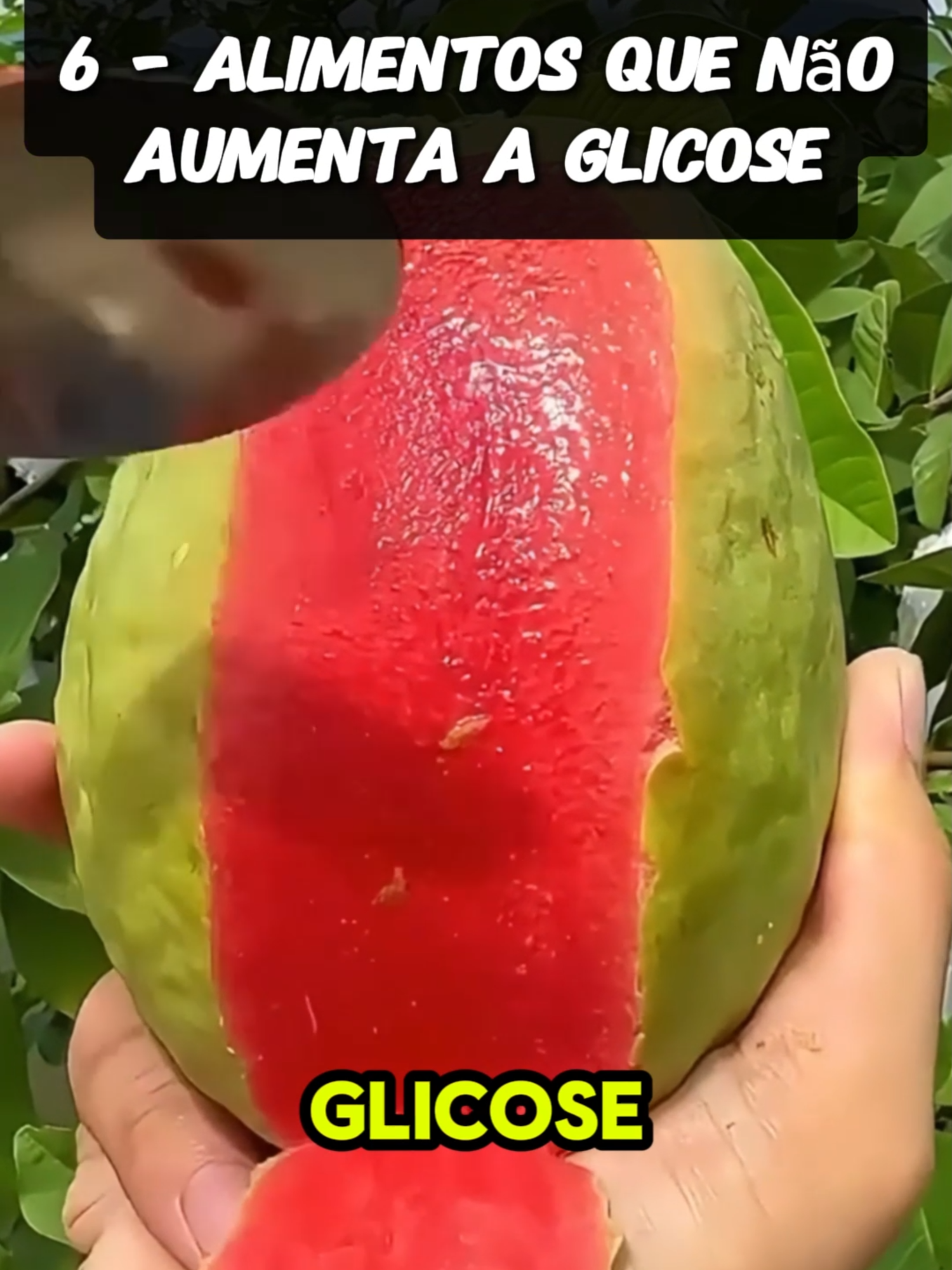 Alimento que não aumenta a glicose #saude #diabetes