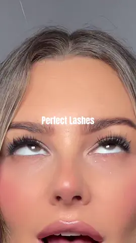 Honestly my favorite lash of all time @Jetzi LLC 