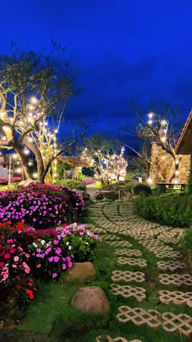 Cà phê Trạm Ký Ức  về đêm tại Đà Lạt  🥰 📍 Trạm Ký Ức  ##dalatreviewtravel##latnoitravel##tramkyuc