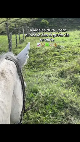 #subialablindada #corridos #motivacion #fyp#agt 