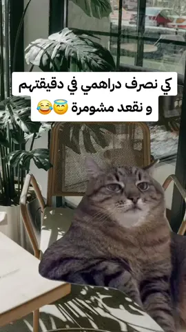 #Meme #MemeCut #CapCut #algerienne #الجزائر 