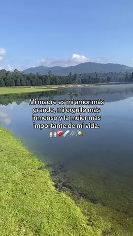 Mi todooooo🥺❤️#si #paratiiii #fyp #paratiiiiiiiiiiiiiiiiiiiiiiiiiiiiiii #mamá #ella #mitodo #paisaje #teamo 