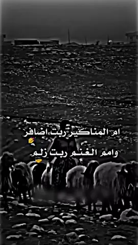 ✌🏻😏#🔕🖤آڪَٰـُـٰٓـسَٰـُـٰٓـبَٰـُـٰلٰور🖤 