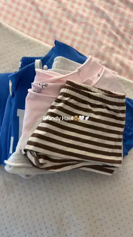Brandy Haul🧸🤍🪽 —cutest fall finds & their new electric blue collection is PERFECTION!!  @Brandy Melville @pacsun  #brandymelville #brandymelvillehaul #haul #fallwardrobe #pinterestoutfit 