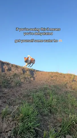 DAILY REMINDER 🫶🏼🫶🏼 getting your water in is tough but WE GOT THIS!! #drinkwater #hydration #dehydrated #thirsty 