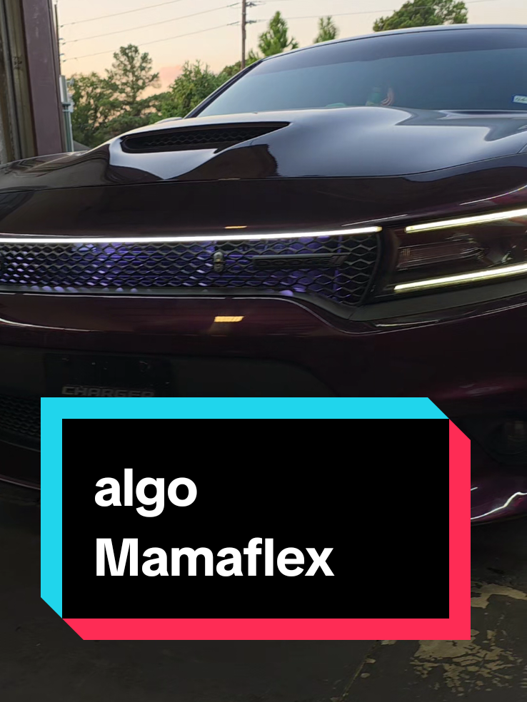 #transformerscaraudio #saludosmamaflex 