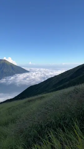 Top view gunung sumbing🔥 #pedakigunung #gunungsumbing3371mdpl #sumbingviagajahmungkur #fyp 