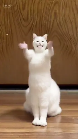 ねこだけど　#CapCut #猫 #cat #ジャンボリミッキー #catdance 