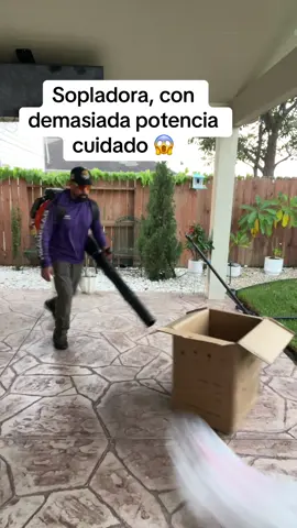 #yarderosperrones💪🏼🇲🇽 #grass #blower #jardin #sopladora 
