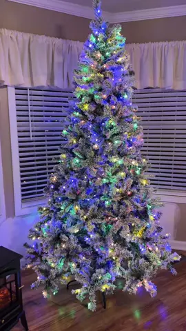 This sold out quick last year! #christmastrees #christmastree #christmaslights #christmaslightshow 