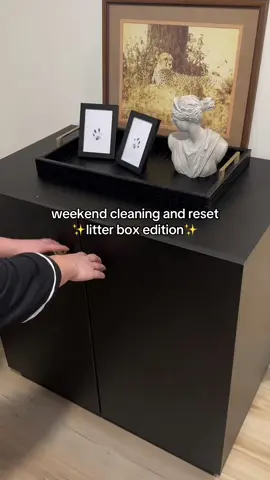 The best setup for me and my cats 🏆#stainlesssteellitterbox #suzzipaws #catmom #catessentials #cattok 