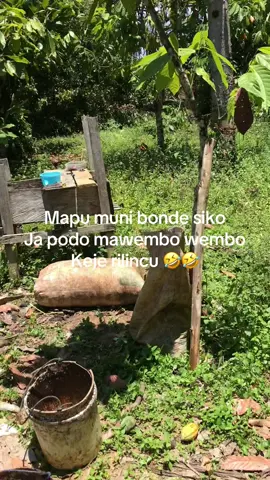 Odeh gasanya kojo🤣 #fyp #pamonaposo 