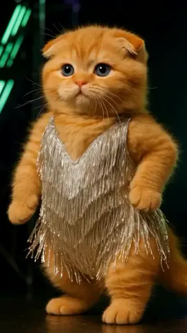 #fyp  #kitten  #cat  #dance  #meme 