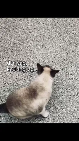 harus ubah sikap gimana lagi yaa cape bet sumpah