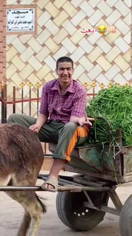 قلتلك هطلع الفديوهات الي معيا مسمعتش الكلام ياشواوه😂😂🥱