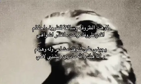 #شيلات #قصيد #viral #foryou 