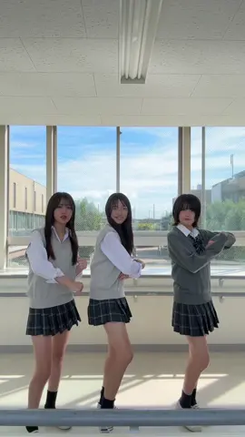 カオスすぎてわけわからん#fyp #sjk #08 