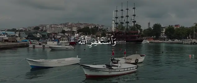 #قران #علي_جابر #quran 