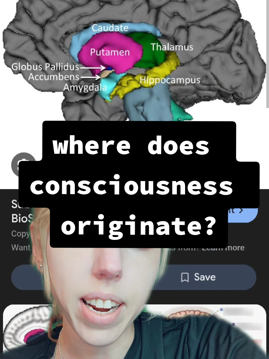 #sciencenews #news #consciousness #sentience #brain #learning 