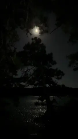 Moon lit lake with calm water and a peaceful night sky, the perfect place to clear your mind and enjoy nature’s beauty. Capturing the stillness of the night and the reflection of the moon on the water. #MoonlitLake #PeacefulNight #NatureViews #LakeVibes #NightScenery