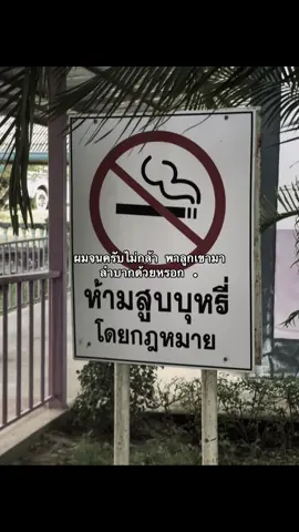 ผมจนครับไม่กล้า พาลูกเขามา ลำบากด้วยหรอก#สตอรี่_ความรู้สึก #ดันขึ้นหน้าฟีดทีนะค้าบ #โดนปิดการมองเห็น #tiktok #fyp 
