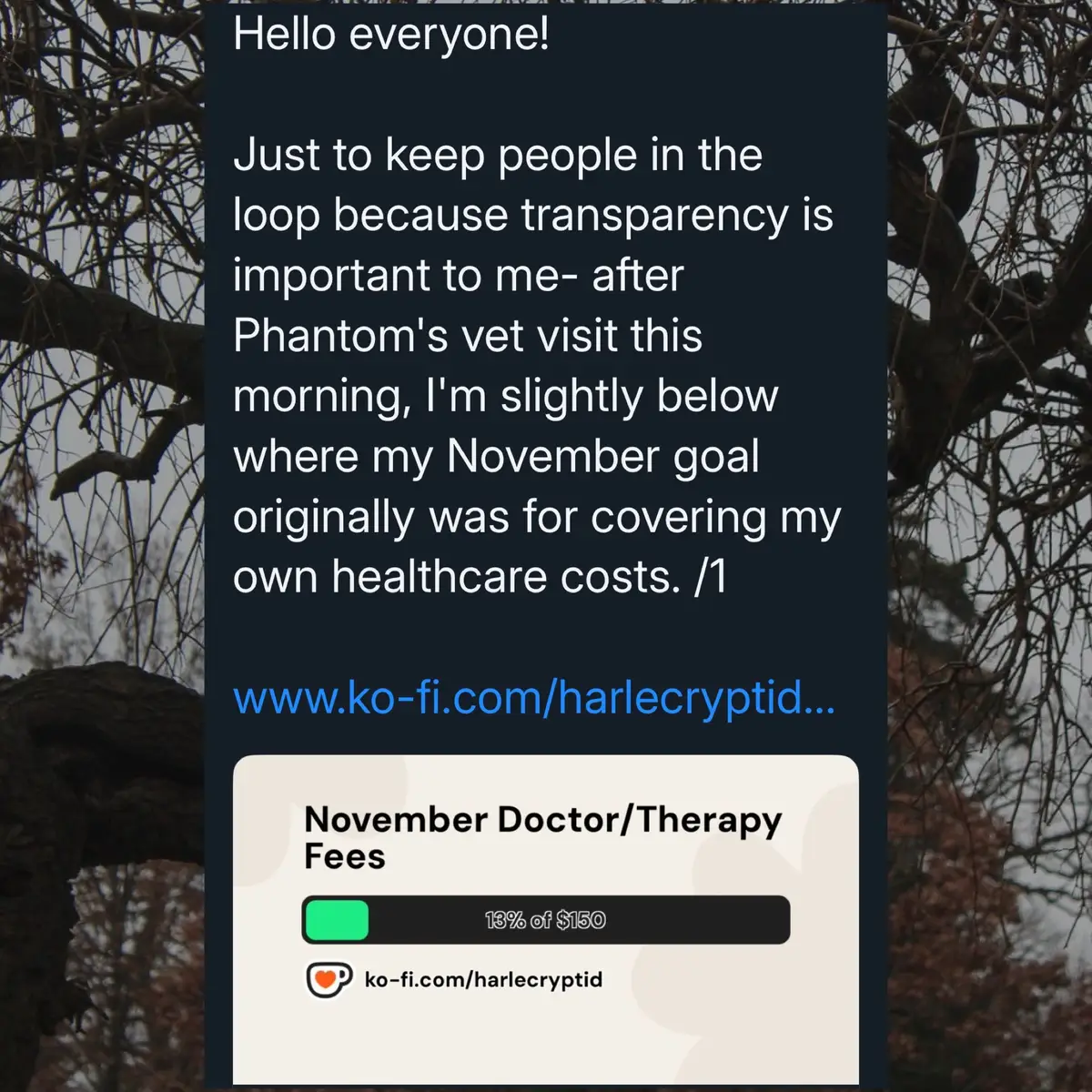 Hello everyone! Just to keep people in the loop because transparency is important to me- after Phantom's vet visit this morning, I'm slightly below where my November goal originally was for covering my own healthcare costs. For context- I had to take my ESA cat, Phantom, to the vet this morning for a mass on the outside corner of her mouth. The vet believes it's just felliculitis and gave her an antibiotic shot that's good for two weeks. I've also been instructed to hold a warm compress on the site 1-2 times a day (during which Phantom will be a spicy purrito). The vet seems certain about the treatment working, I'm trying to be too. I'm keeping everything crossed that the antibiotic helps; otherwise I'll be having to do even more fundraising to cover the cost of the next steps for her care (current estimate is another $300-400USD), on top of my own medical expenses. I unfortunately had to use most of what had been raised for my October expenses to cover the bill, which was very hard to mentally process, but overall it was needed. A couple lovely friends have sent funds to offset the expenses from today, so October is still thankfully covered. I am extremely grateful, and have cried many tears. My November goal is still the focus now, but I'll need to raise just a little bit more than originally intended due to how much the vet bill came out to be. Thank you all for your continued love and support, it genuinely means the world to me! 💙 - #petcare #emotionalsupportcat #esa #emergencycare 