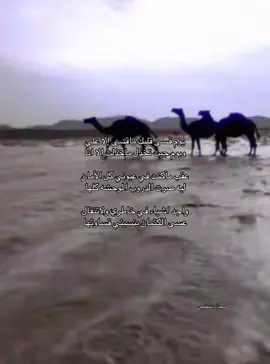 #مجرّد_شخص #foryou #fyp 