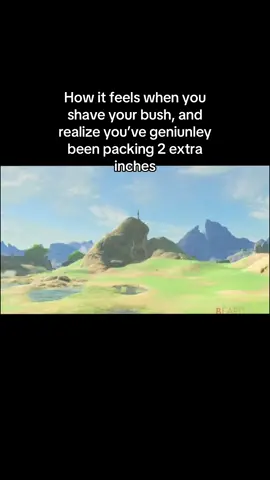 #niche #funny #relatable #botw #dih 