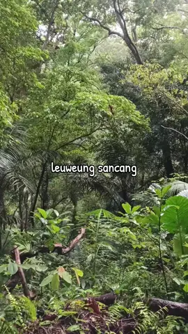 morning vibes di petilasan eyang Prabu Siliwangi 